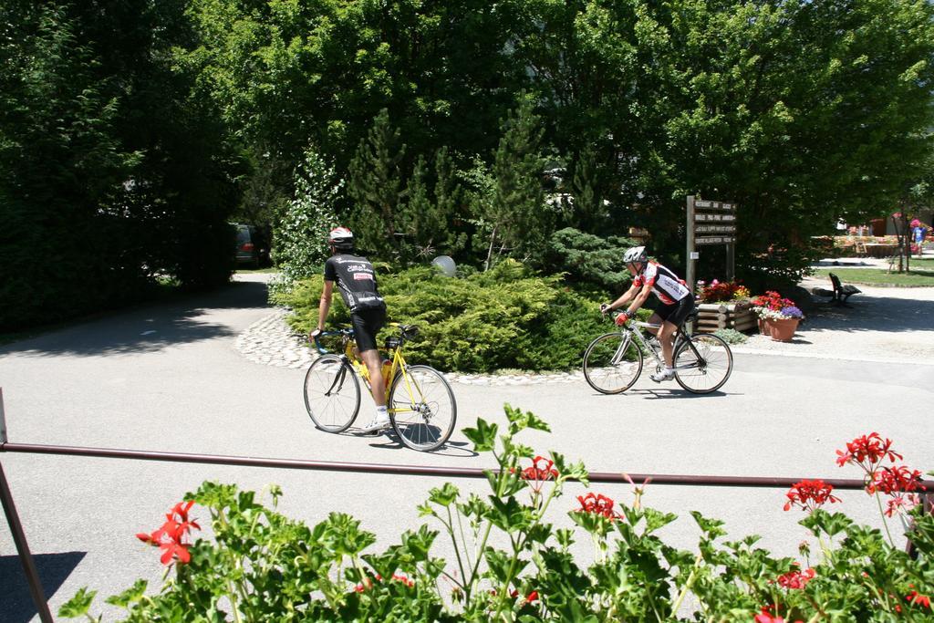 Le Bourg-dʼOisans Camping Le Colporteur酒店 外观 照片